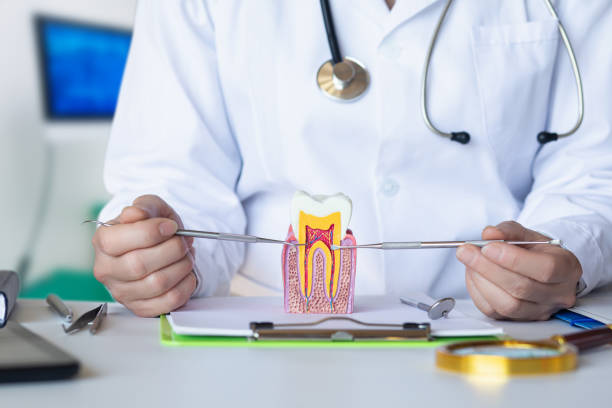 Best Broken or Cracked Tooth Emergency Dentist in Plattsburgh West, NY